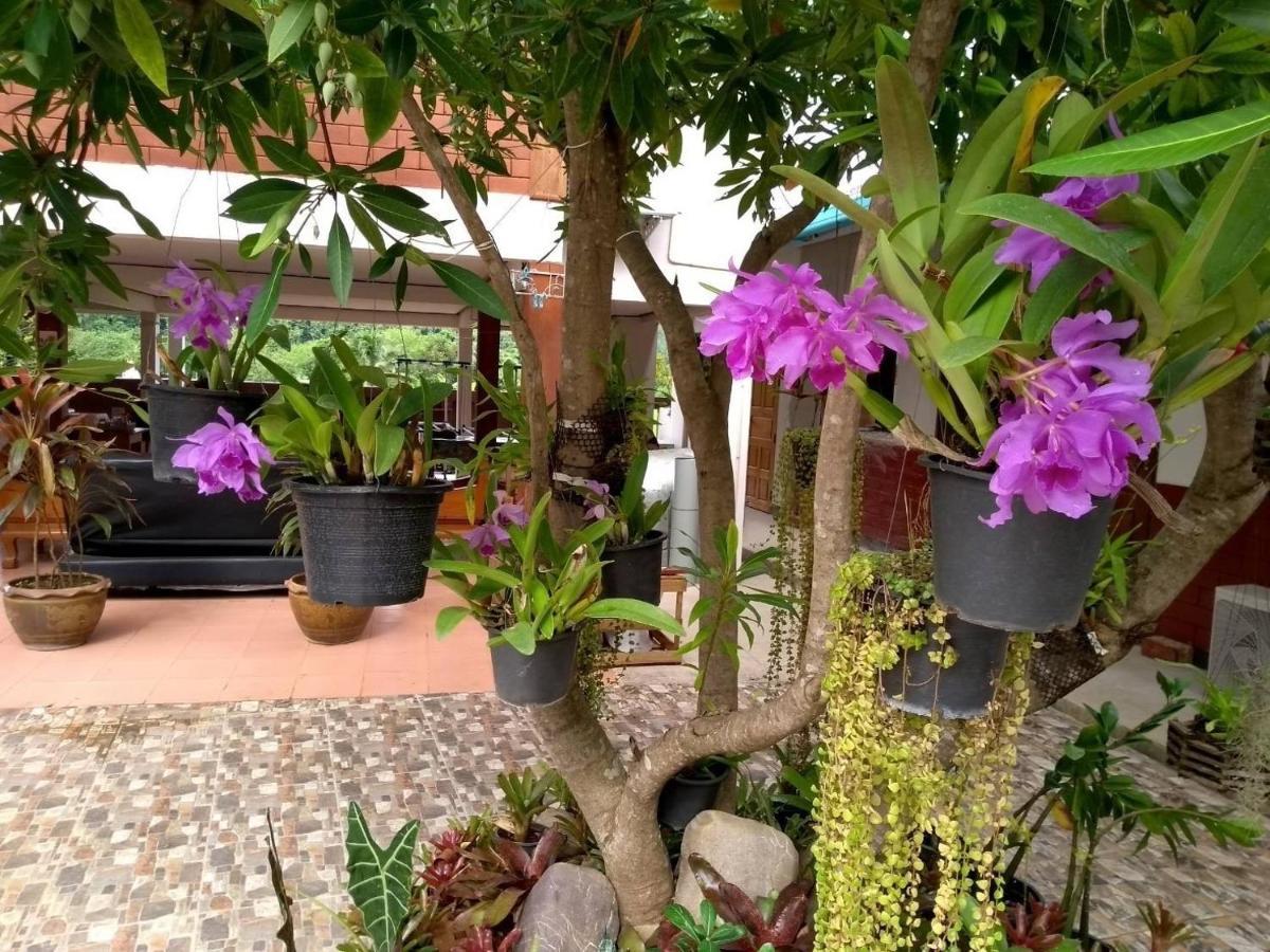 Pimpa House Hotell Ban Hua Nam Mae Sakut Exteriör bild