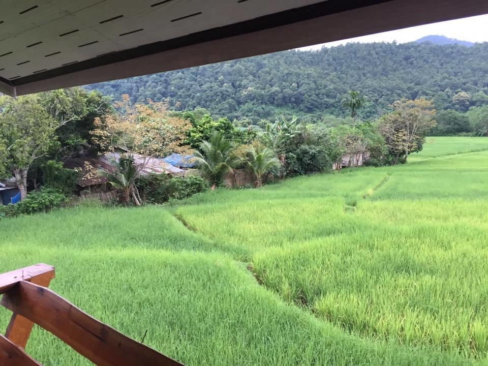 Pimpa House Hotell Ban Hua Nam Mae Sakut Exteriör bild